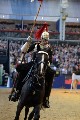 Cavalry - 00230